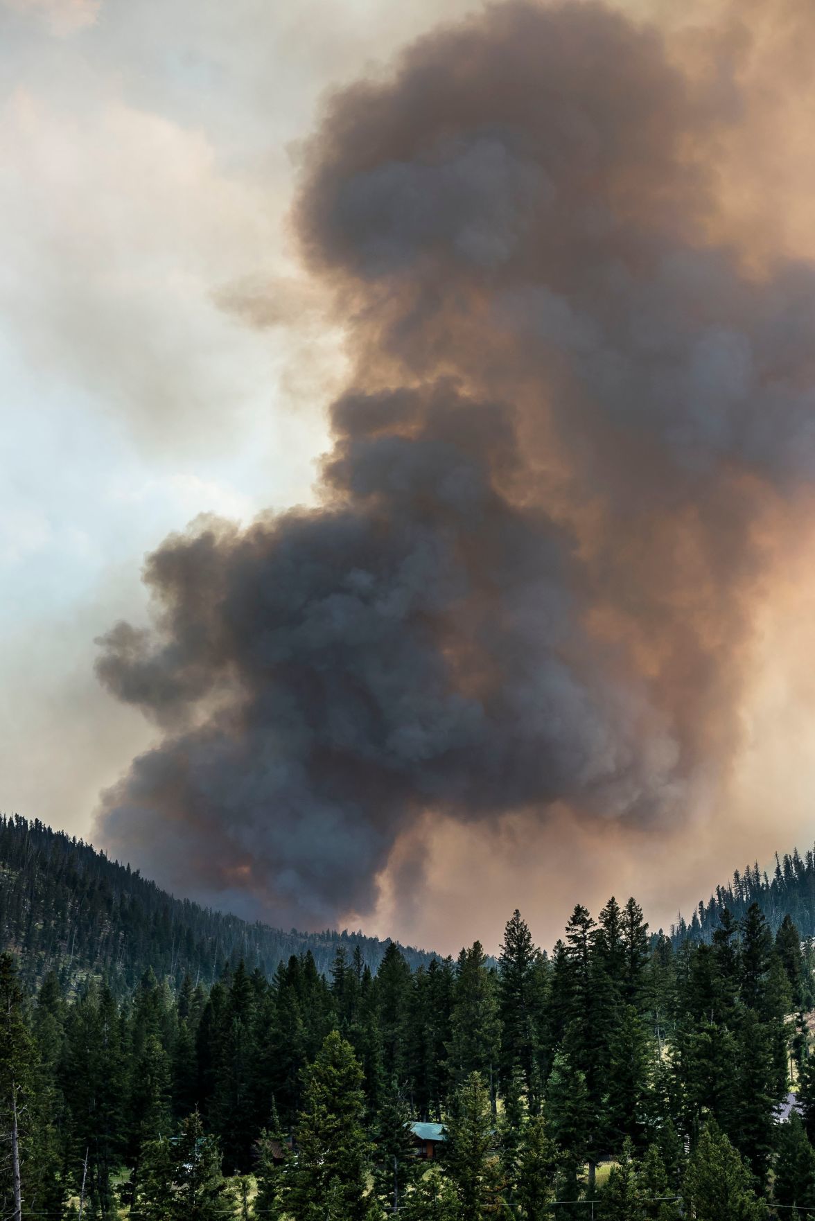 Fishhawk Fire